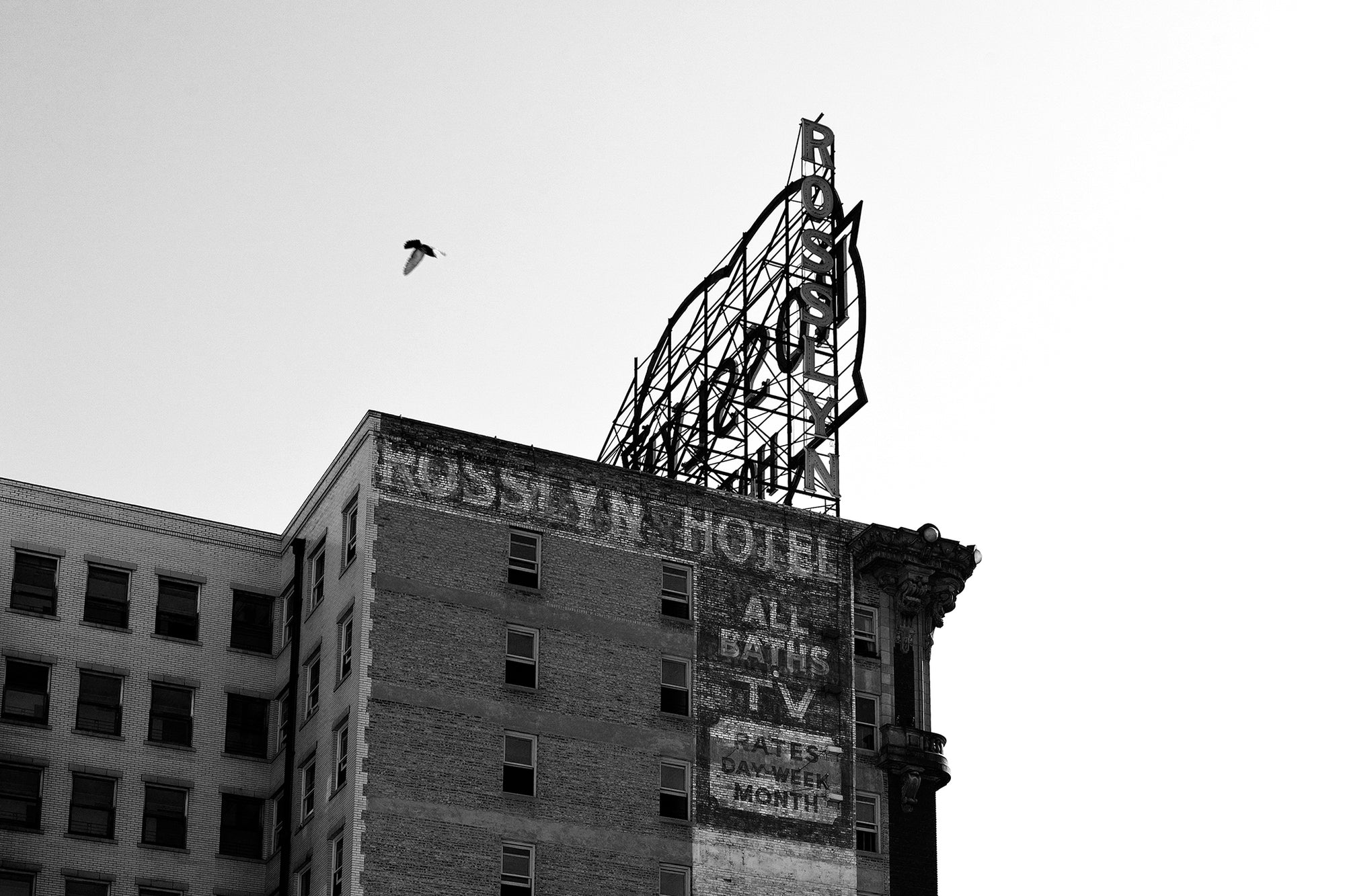 DTLA 4 — Photographic art print