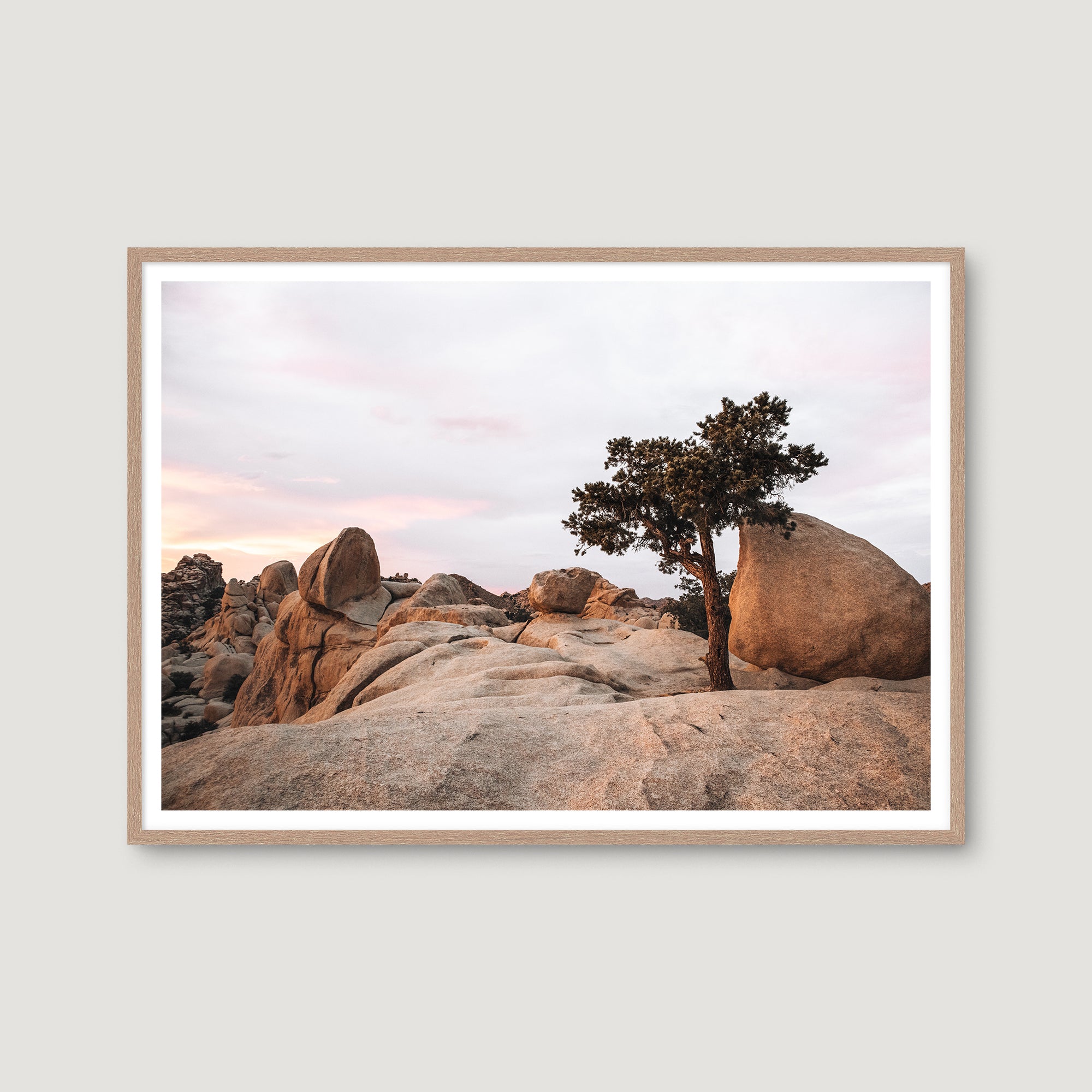 Joshua Tree 1 — Photographic art print