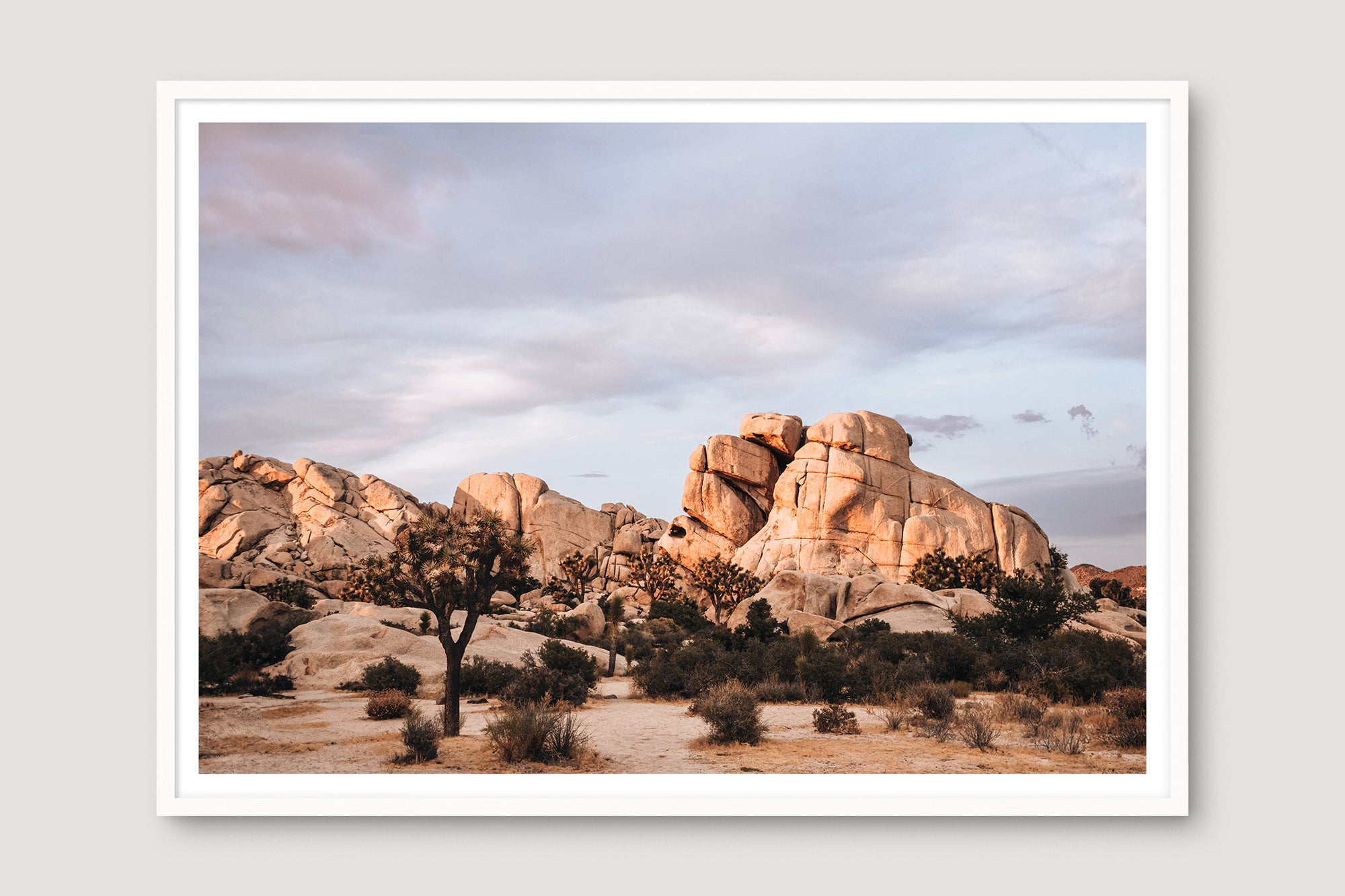 Joshua Tree 2 — Photographic art print