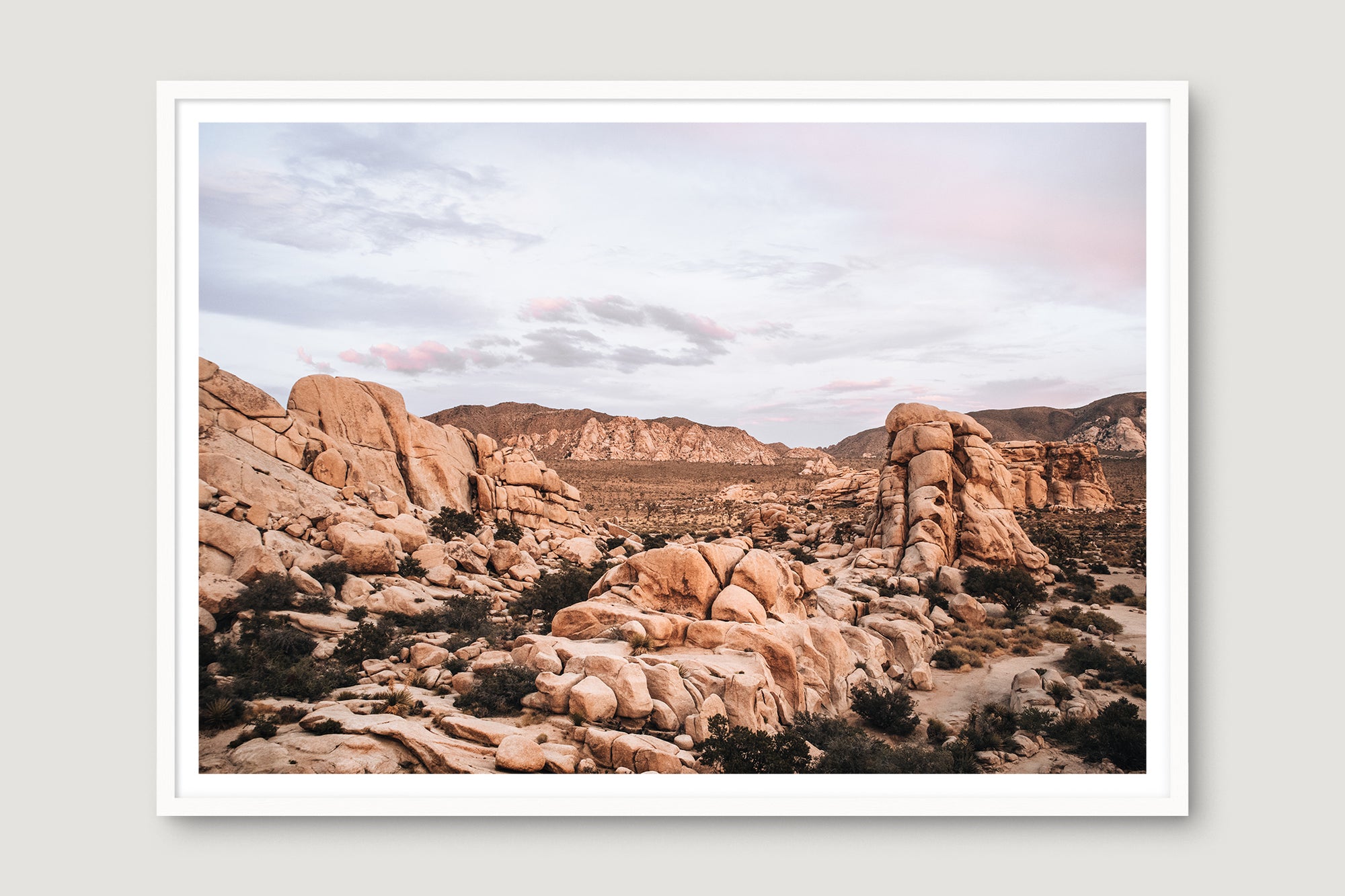 Joshua Tree 3 — Photographic art print