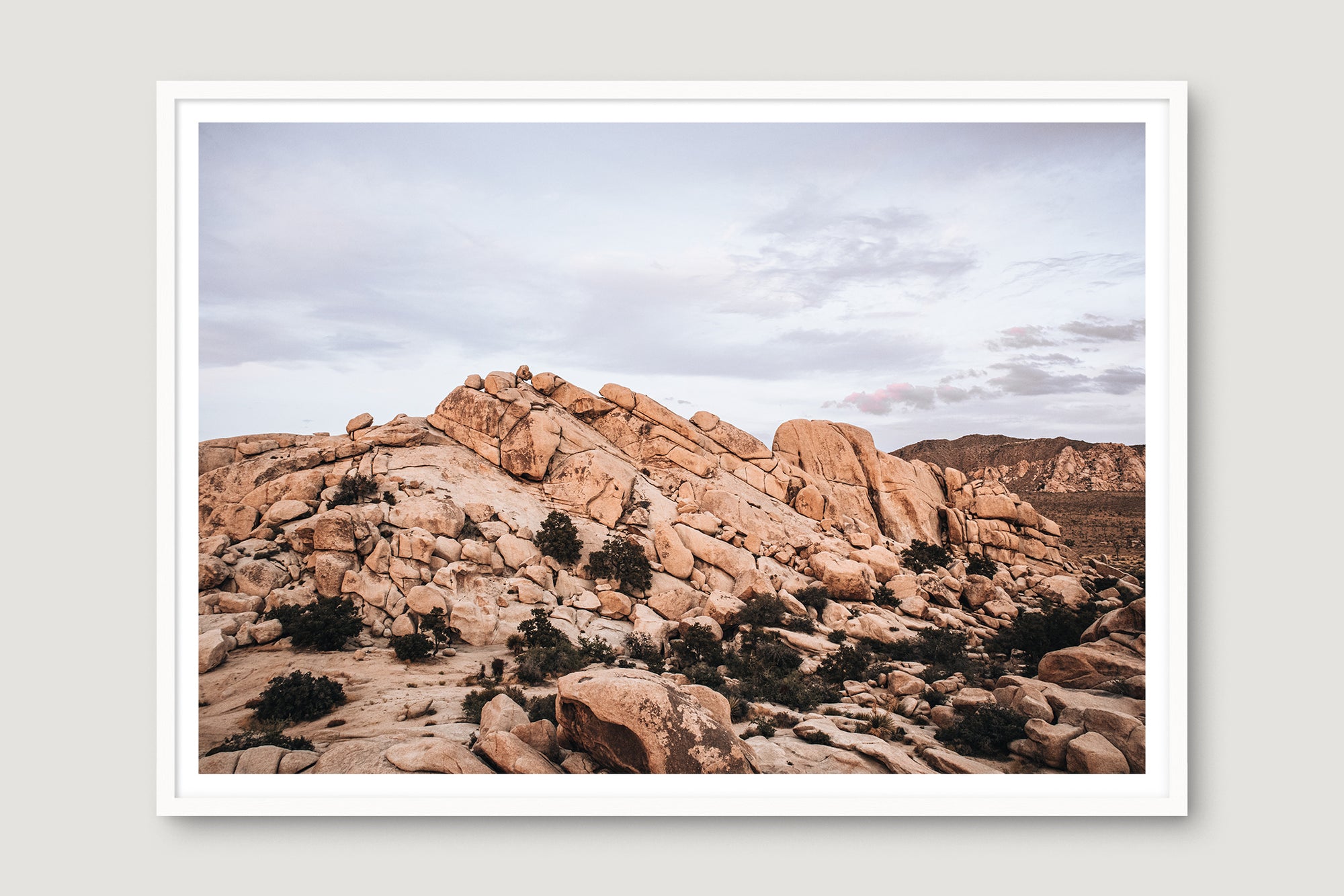 Joshua Tree 4 — Photographic art print