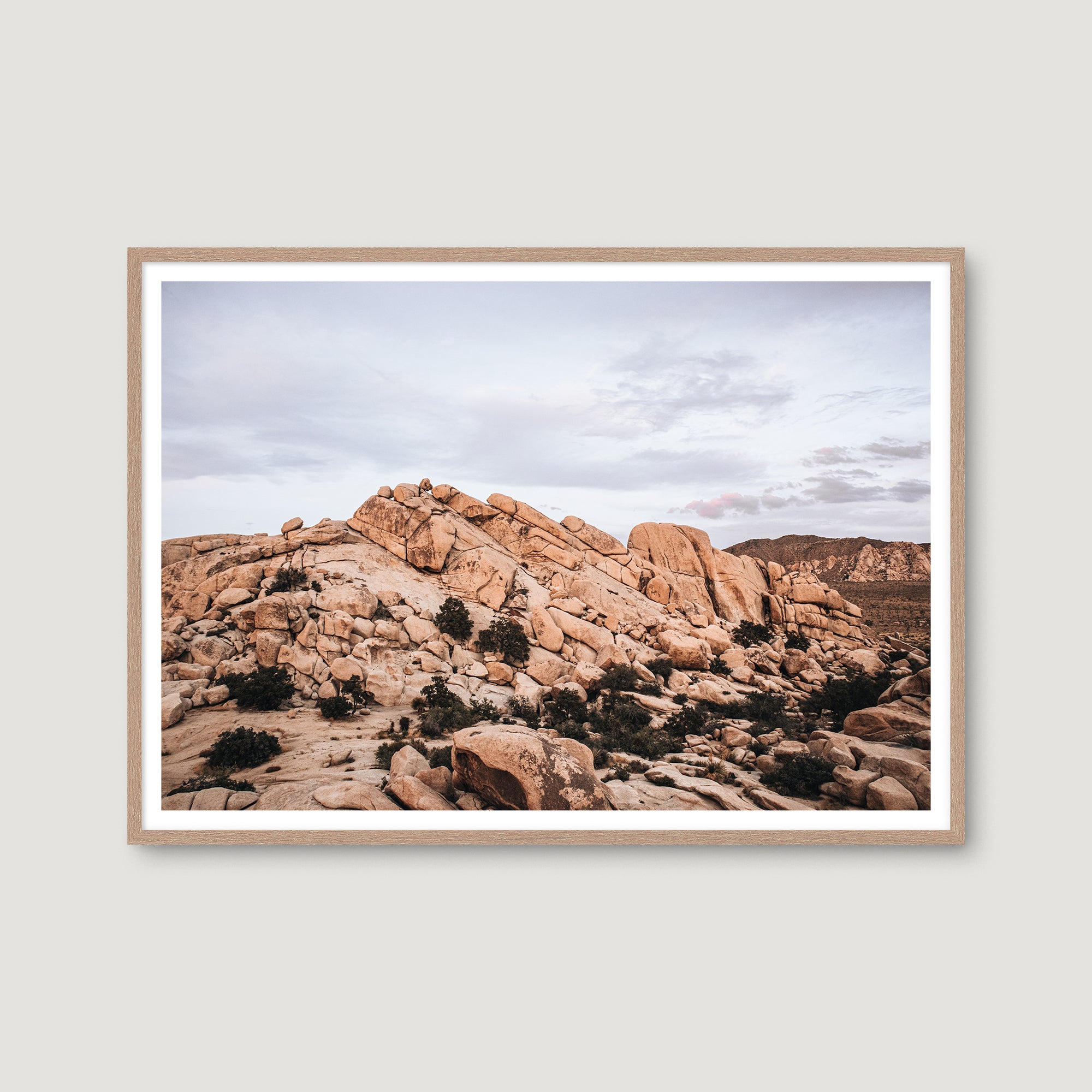 Joshua Tree 4 — Photographic art print