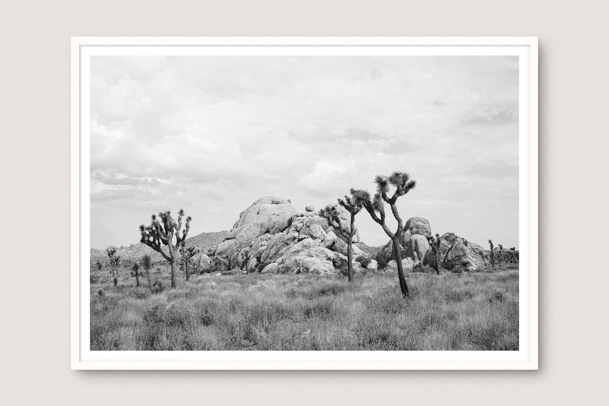 Joshua Tree 5 — Photographic art print