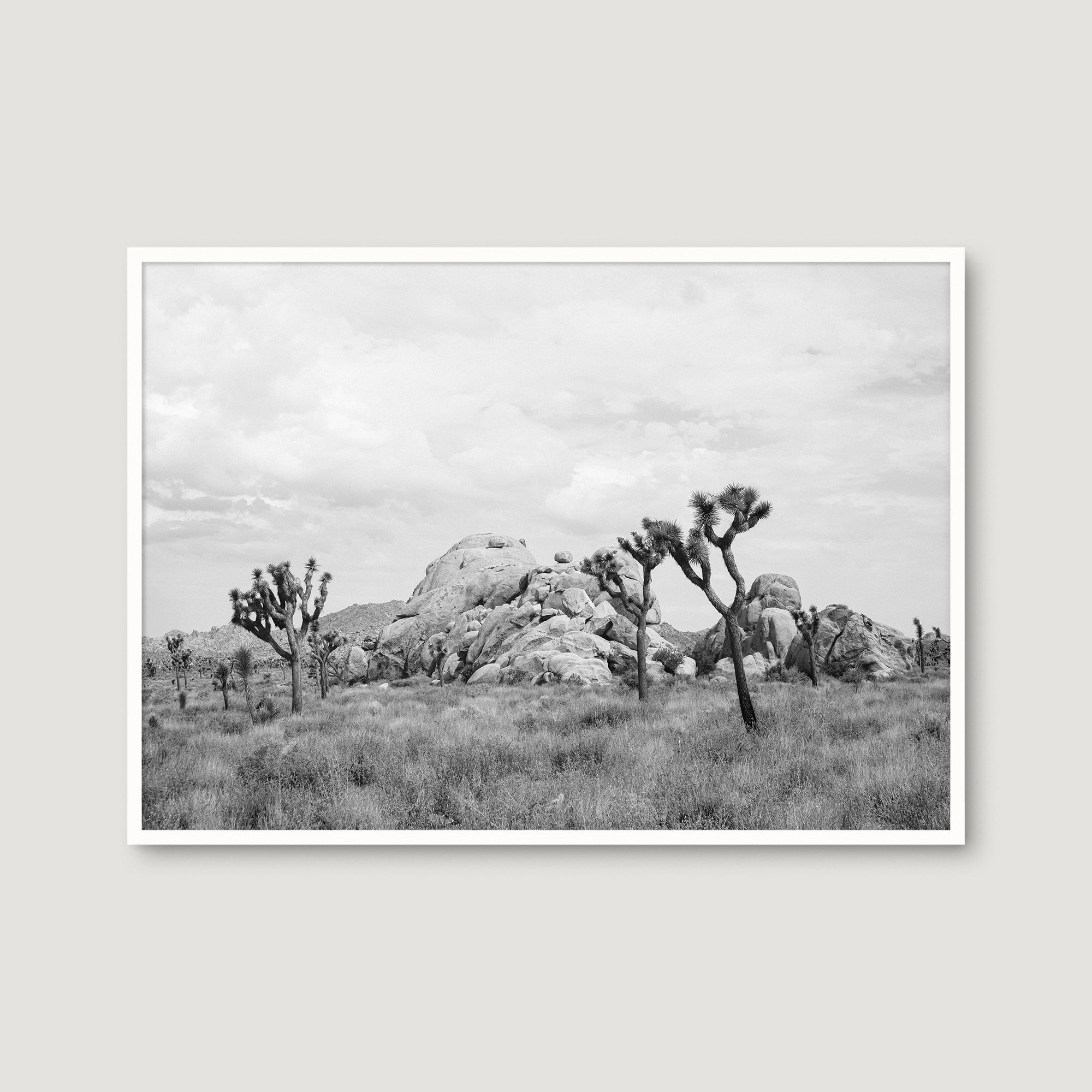 Joshua Tree 5 — Photographic art print