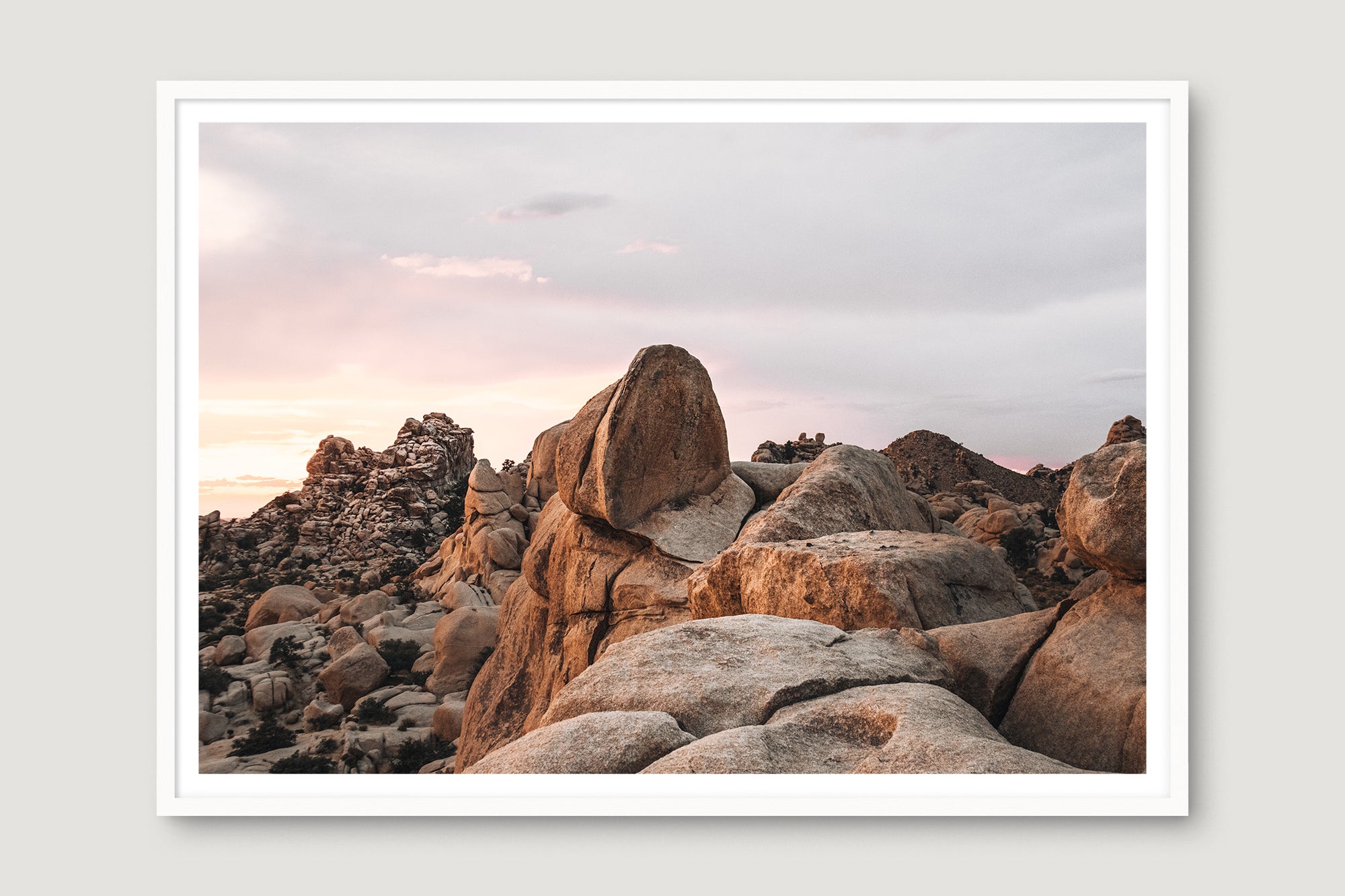 Joshua Tree 6 — Photographic art print