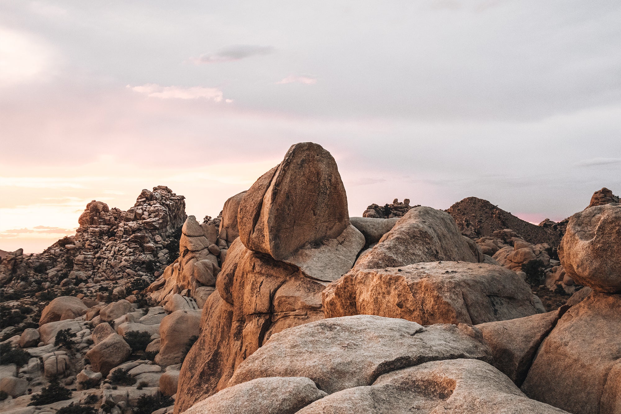 Joshua Tree 6 — Photographic art print