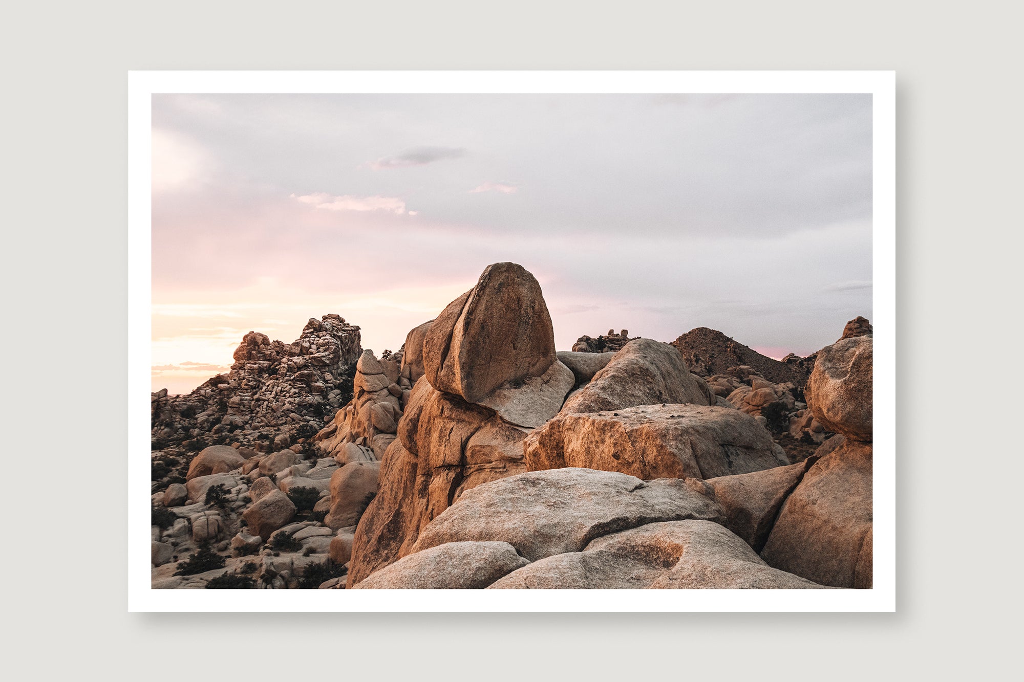 Joshua Tree 6 — Photographic art print