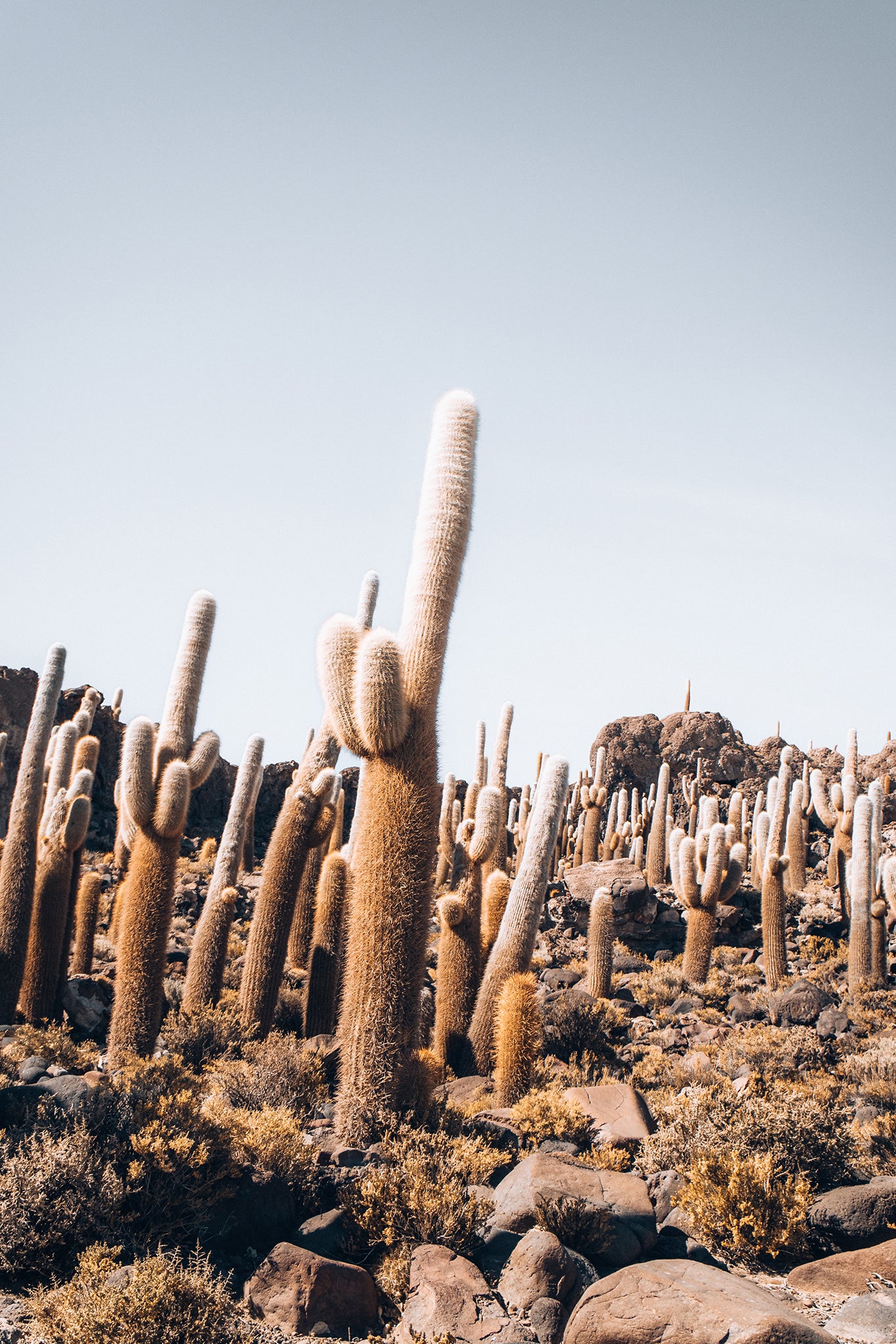 Bolivia Salt Flats 1 — Photographic art print