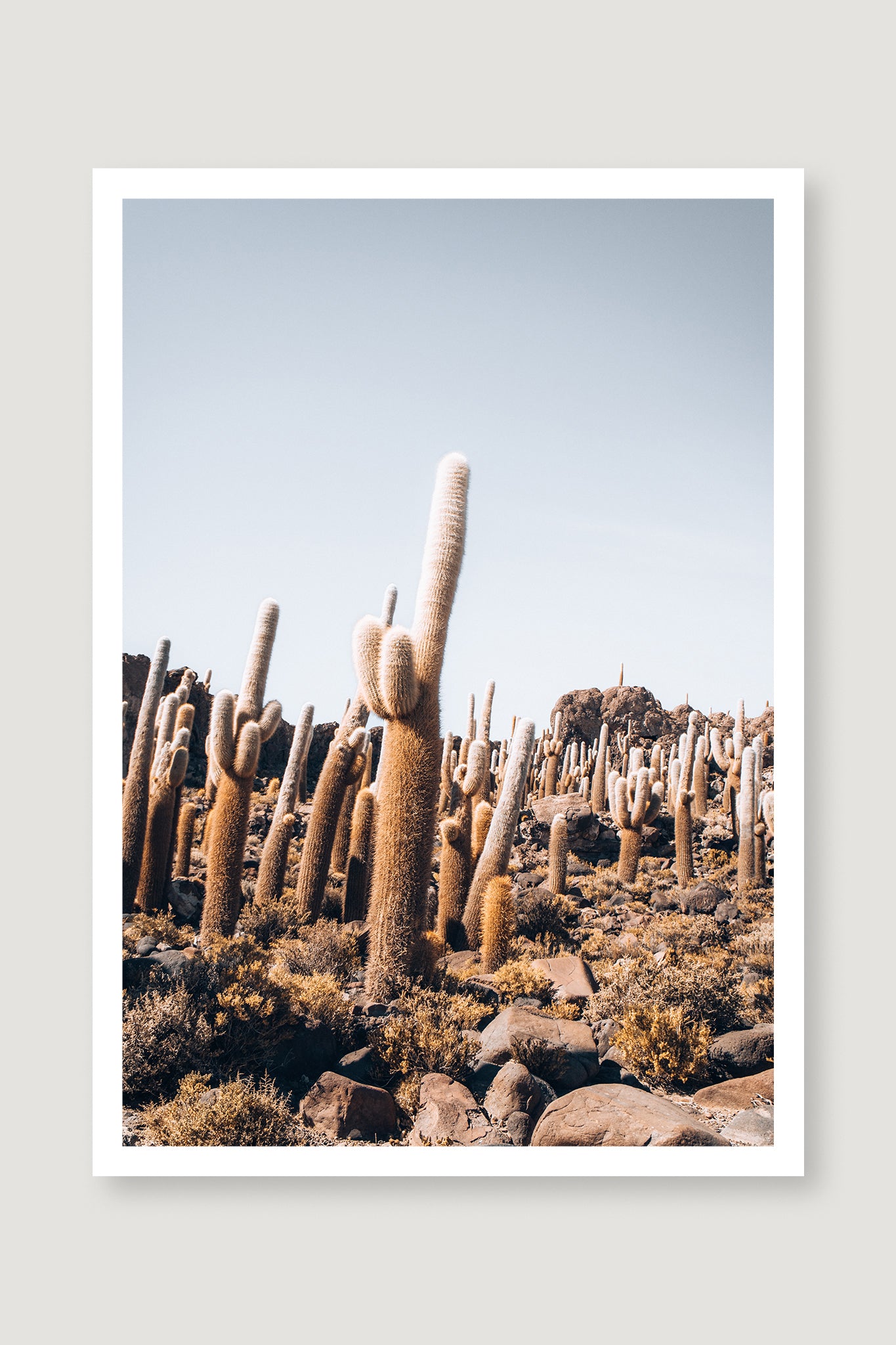 Bolivia Salt Flats 1 — Photographic art print