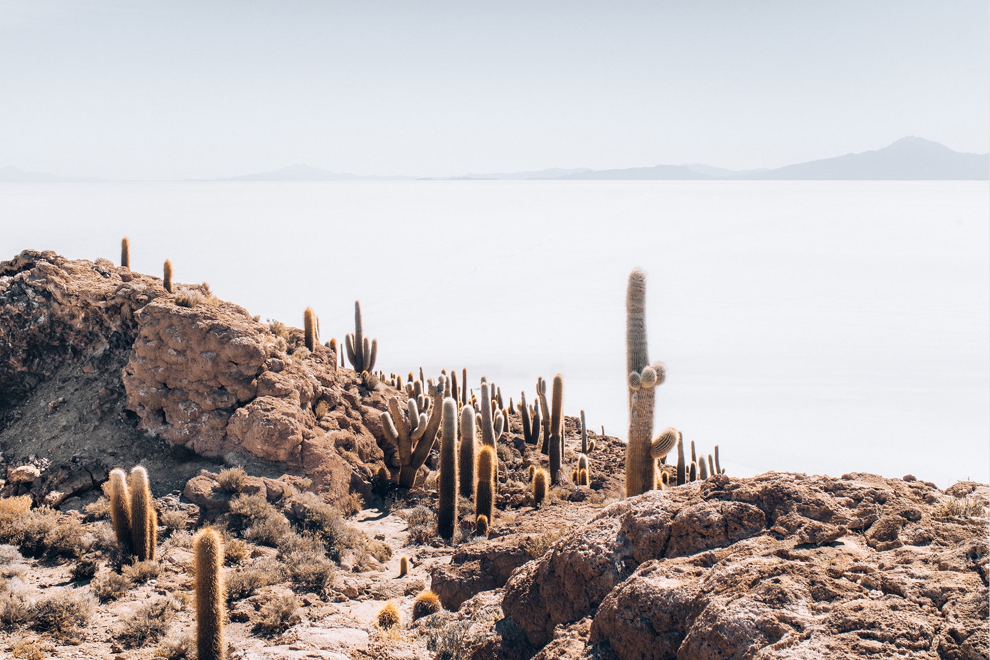 Bolivia Salt Flats 2 — Photographic art print