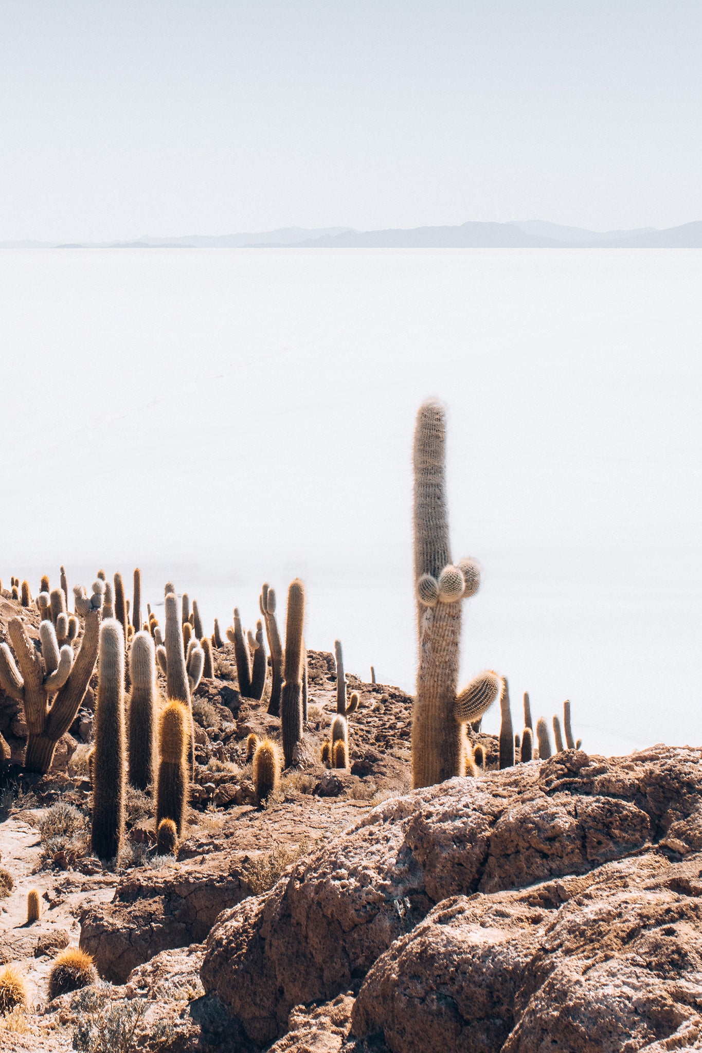 Bolivia Salt Flats 2 — Photographic art print