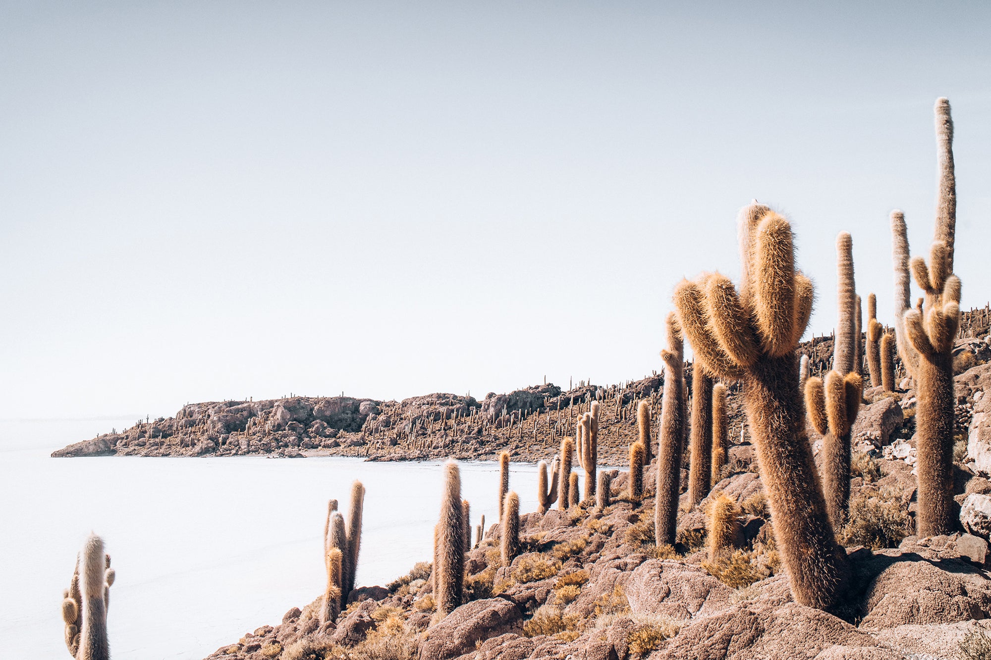 Bolivia Salt Flats 3 — Photographic art print