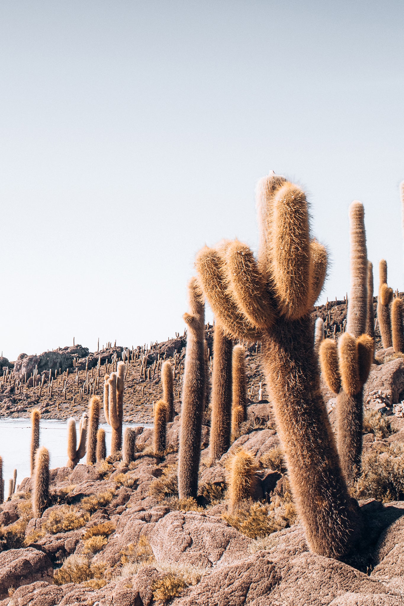 Bolivia Salt Flats 3 — Photographic art print