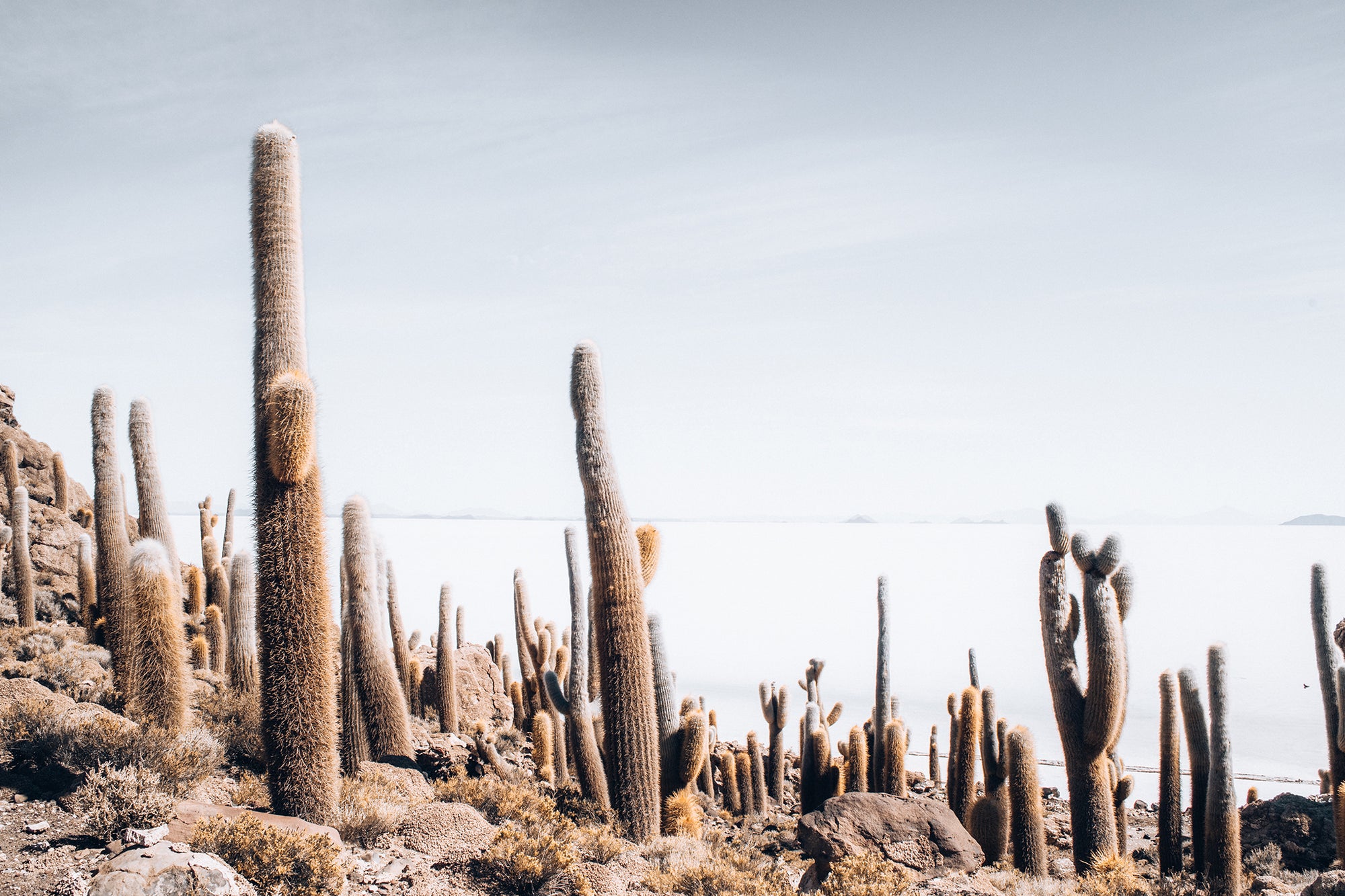 Bolivia Salt Flats 4 — Photographic art print
