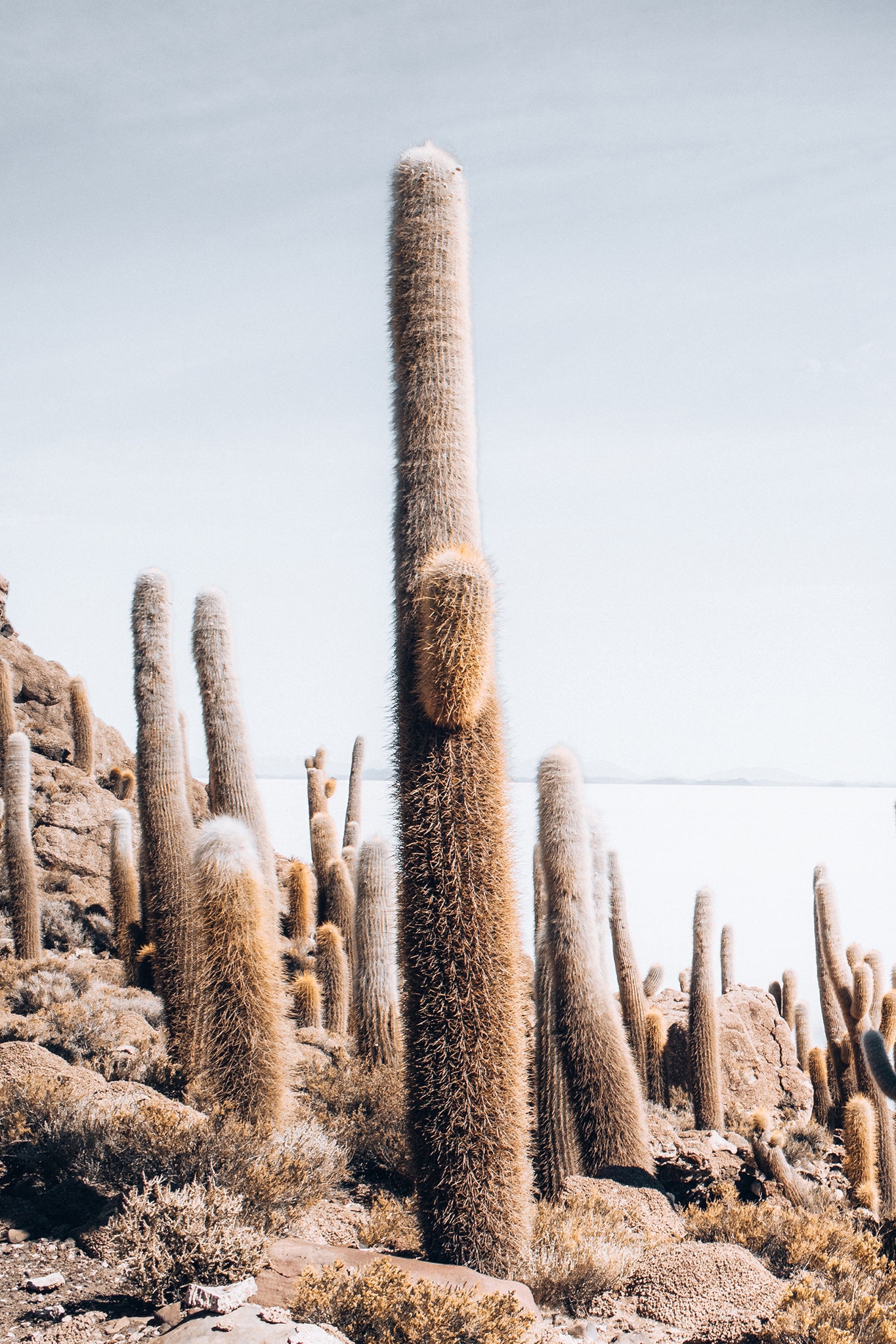Bolivia Salt Flats 4 — Photographic art print