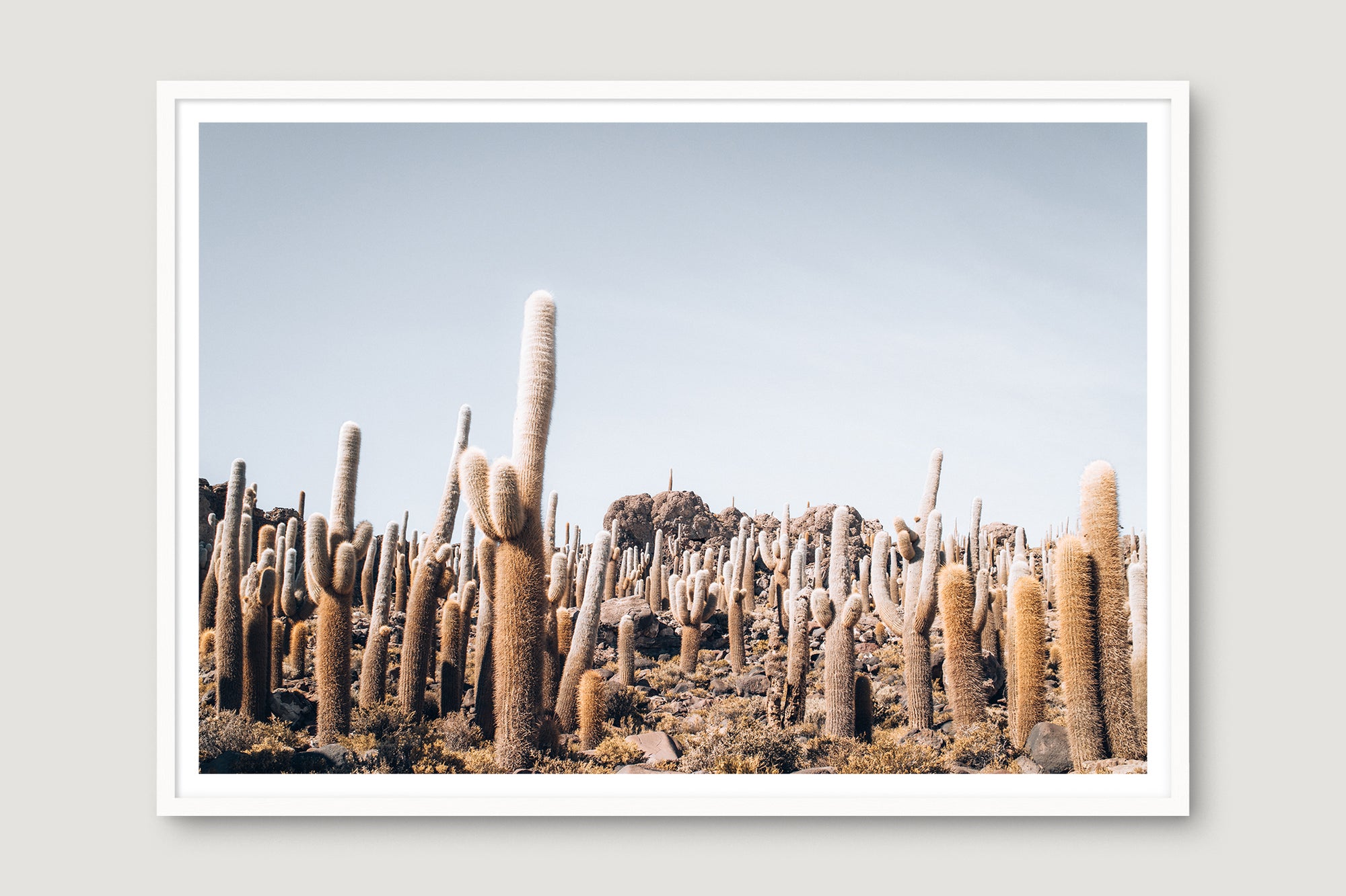 Bolivia Salt Flats 5 — Photographic art print