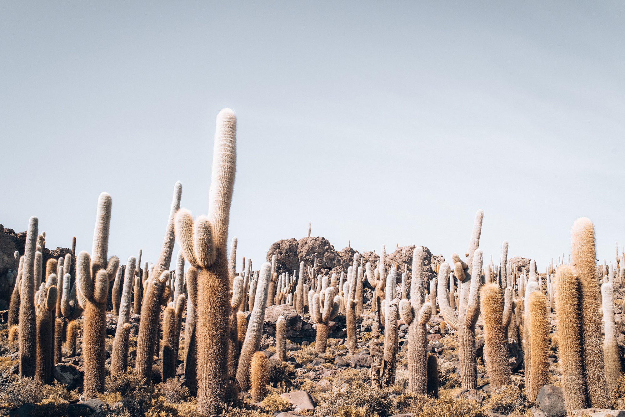 Bolivia Salt Flats 5 — Photographic art print