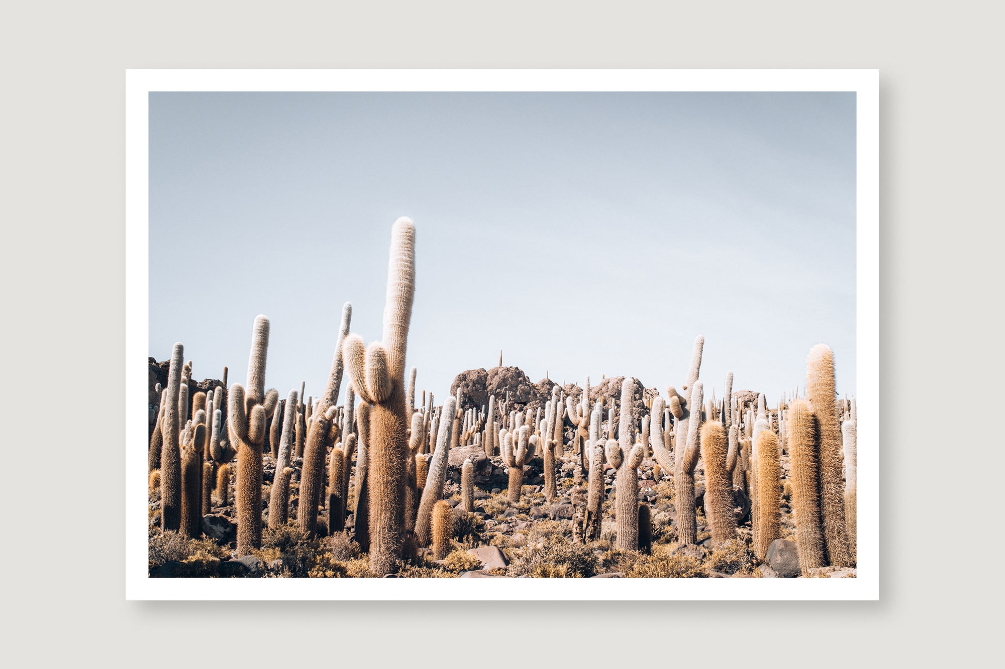 Bolivia Salt Flats 5 — Photographic art print