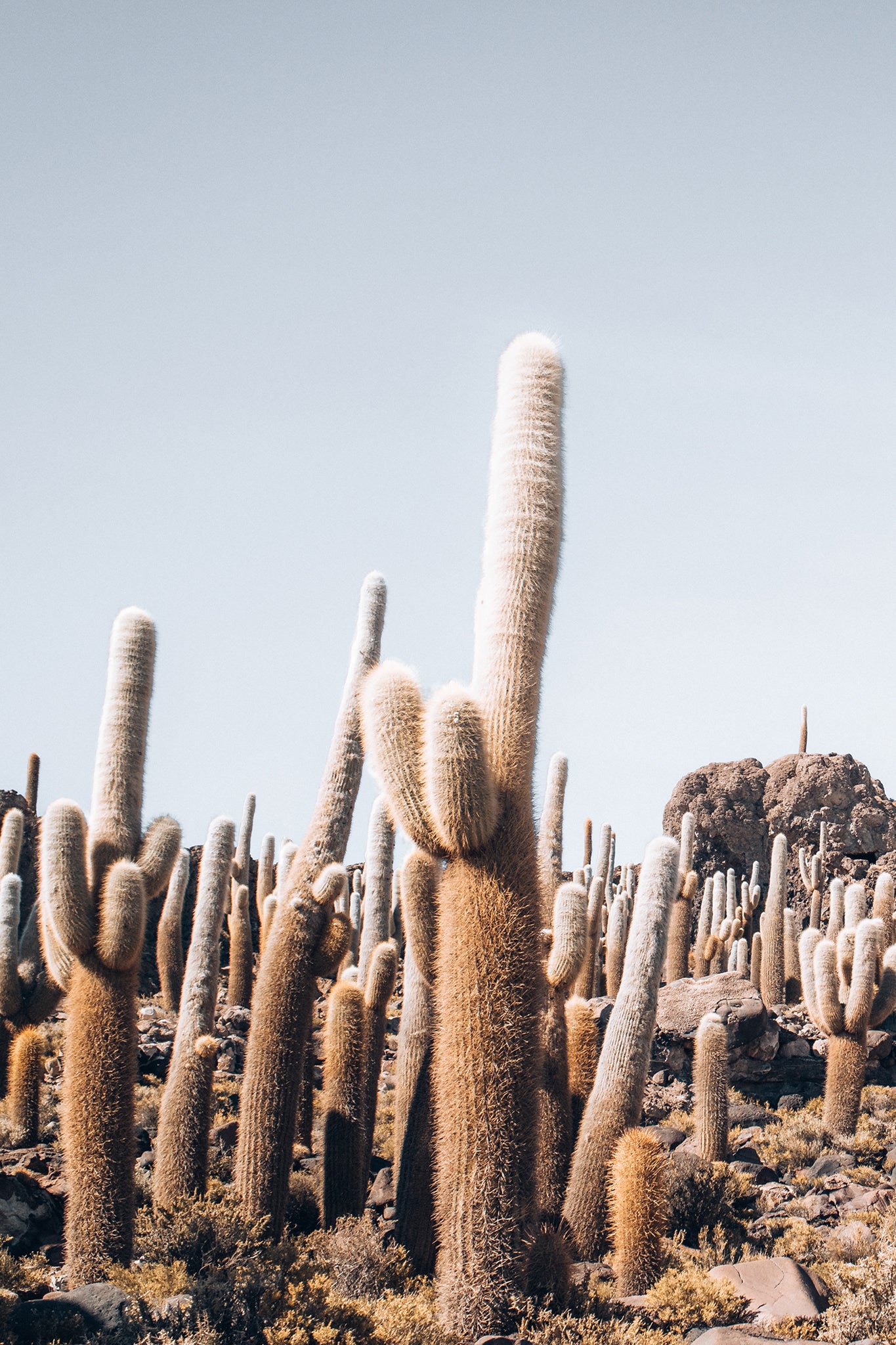 Bolivia Salt Flats 5 — Photographic art print