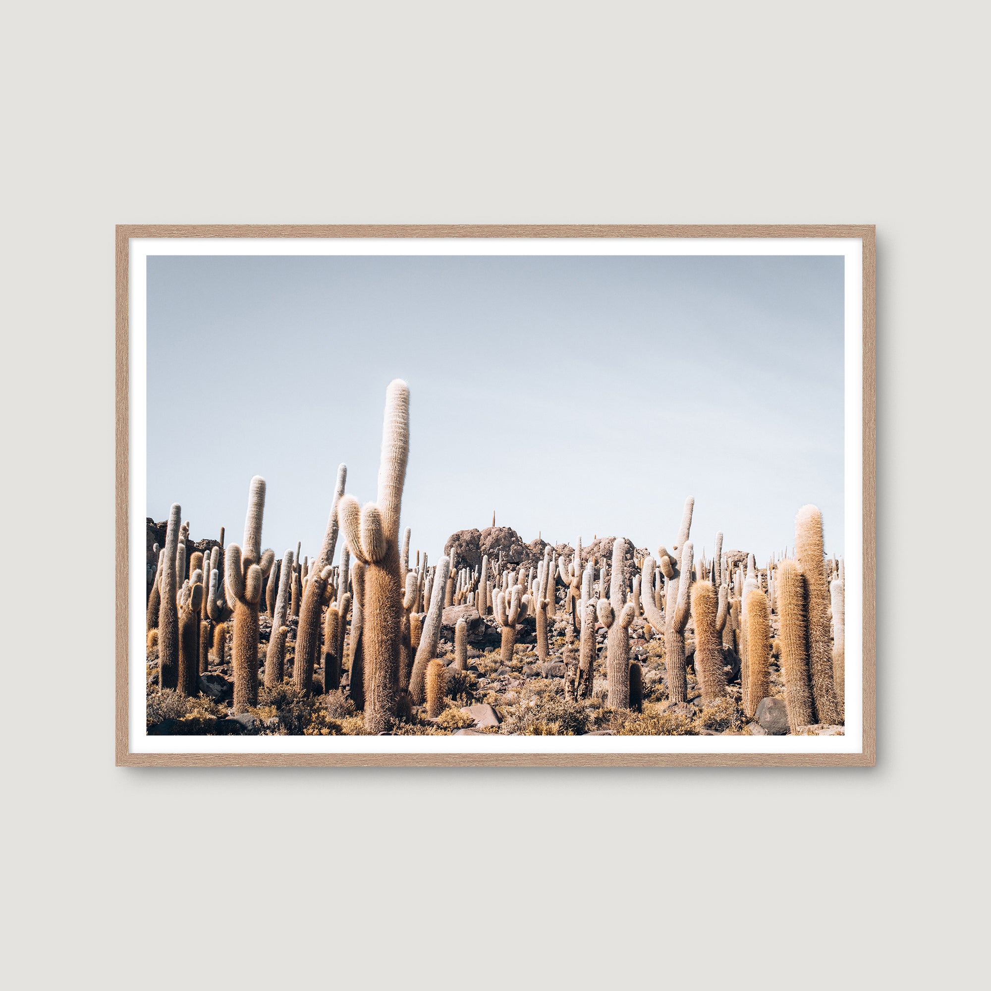Bolivia Salt Flats 5 — Photographic art print