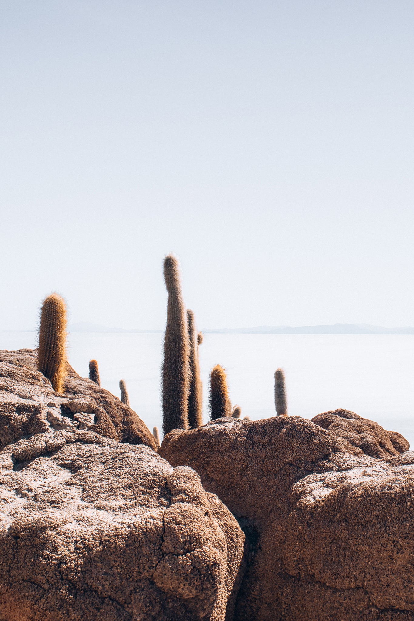Bolivia Salt Flats 6 — Photographic art print