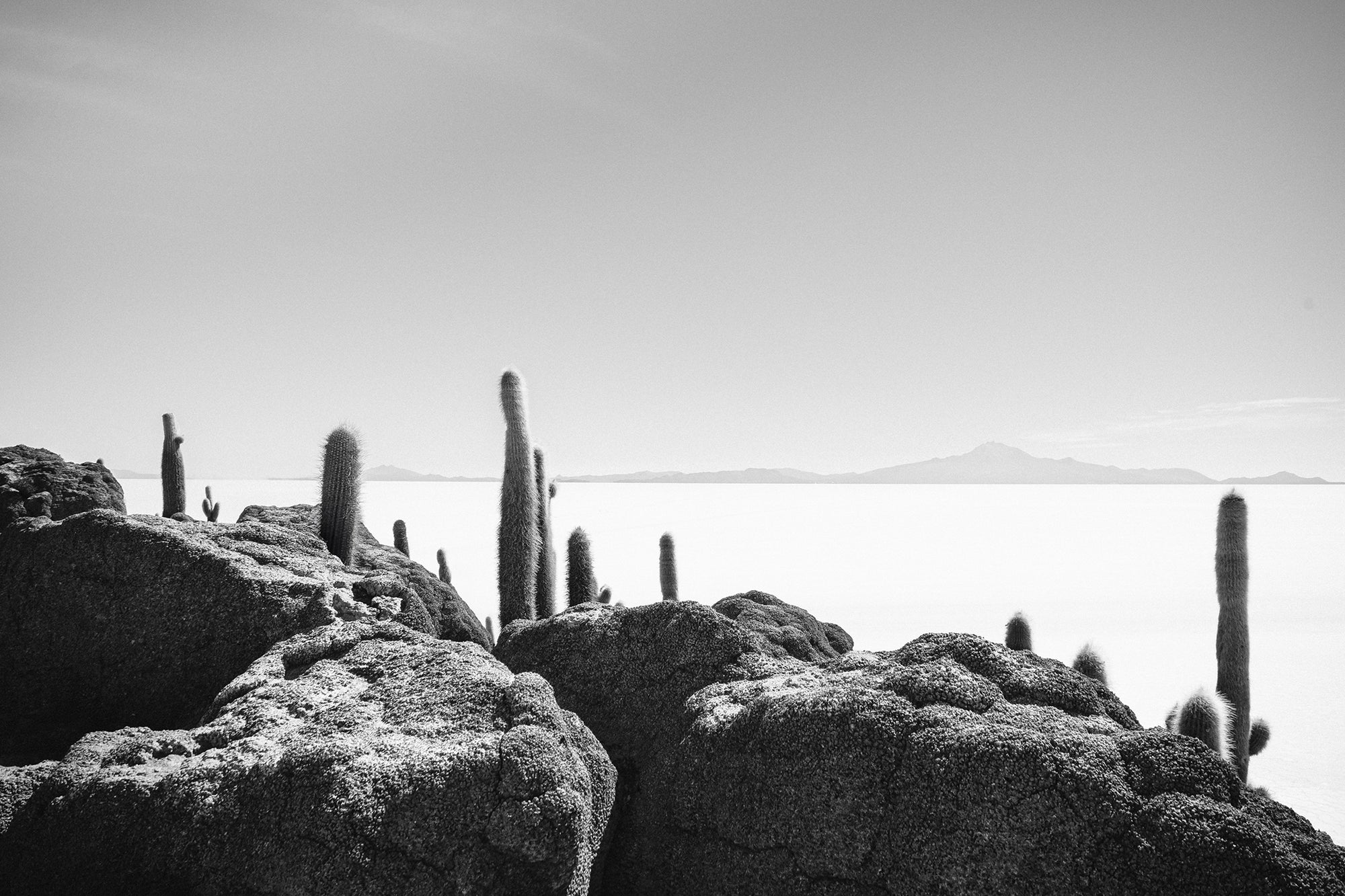 Bolivia Salt Flats 7 — Photographic art print