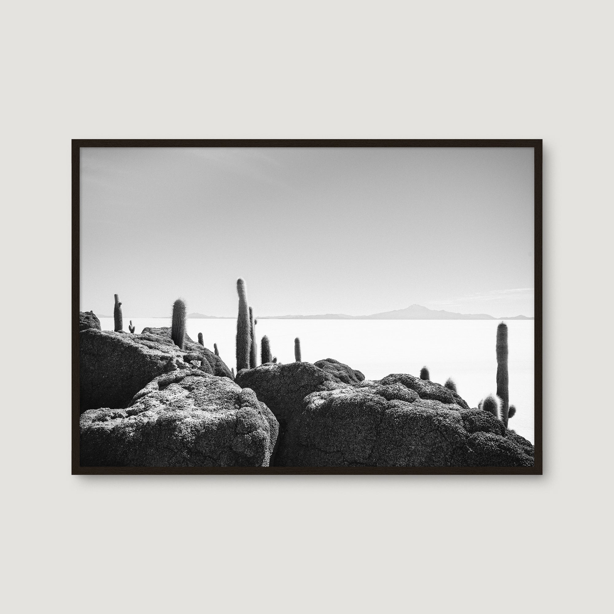 Bolivia Salt Flats 7 — Photographic art print