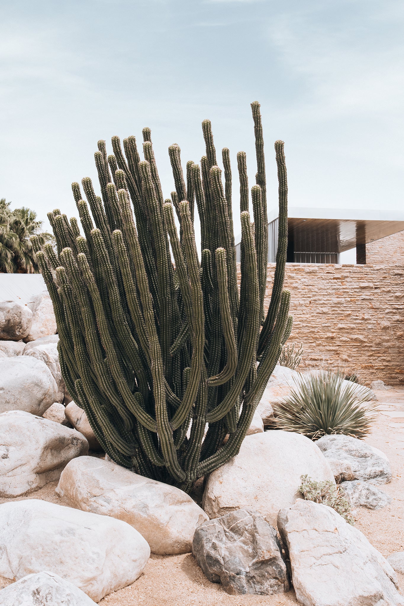Palm Springs 1 — Photographic art print