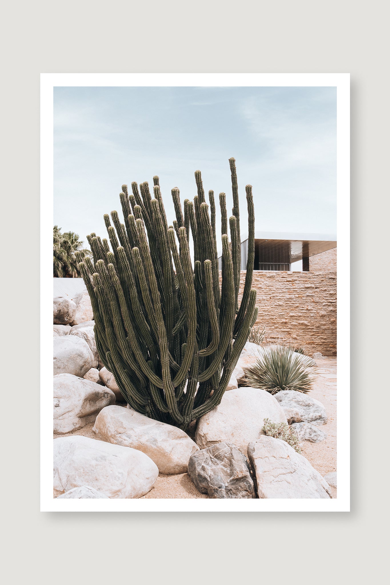 Palm Springs 1 — Photographic art print