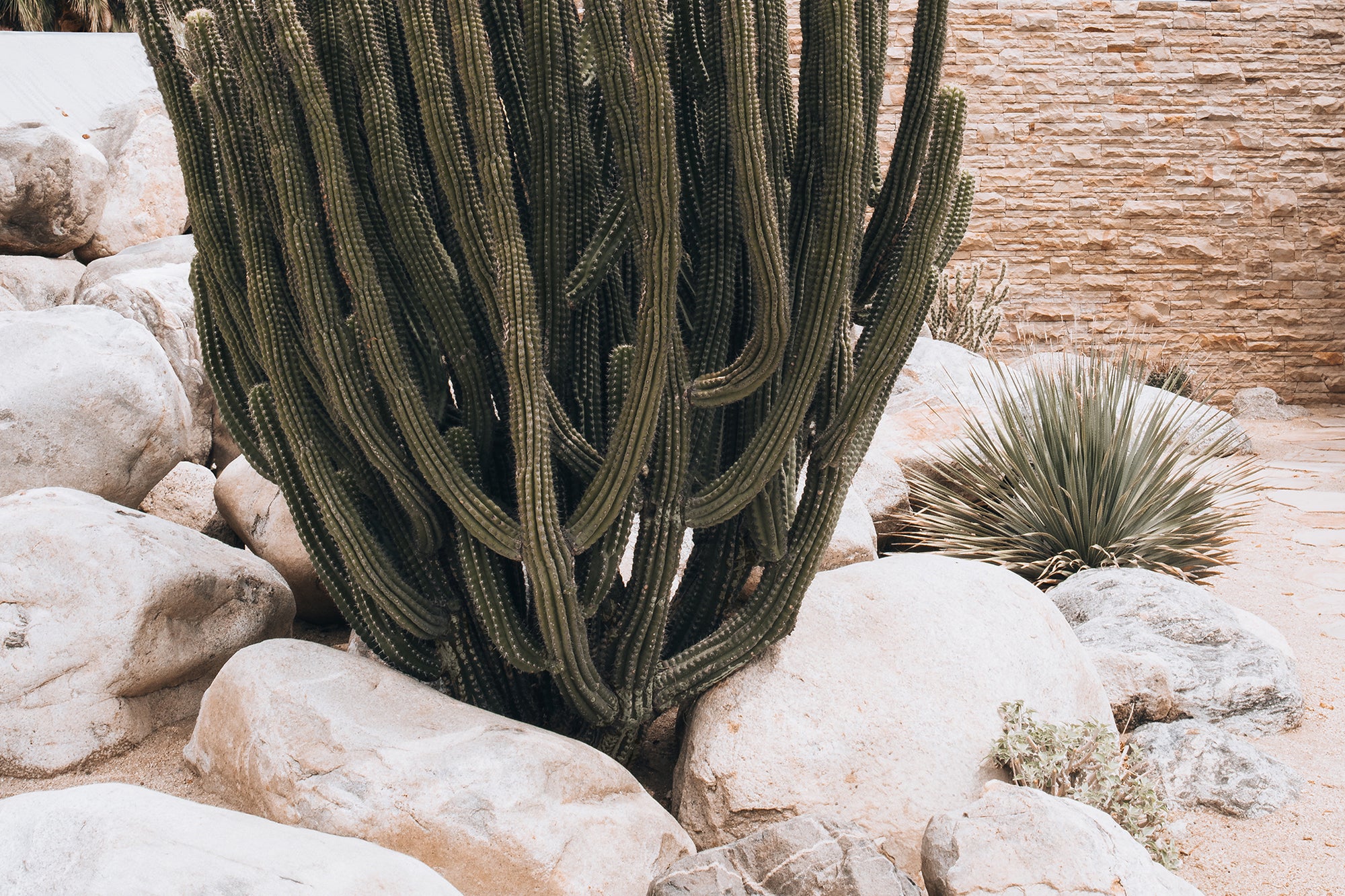 Palm Springs 1 — Photographic art print