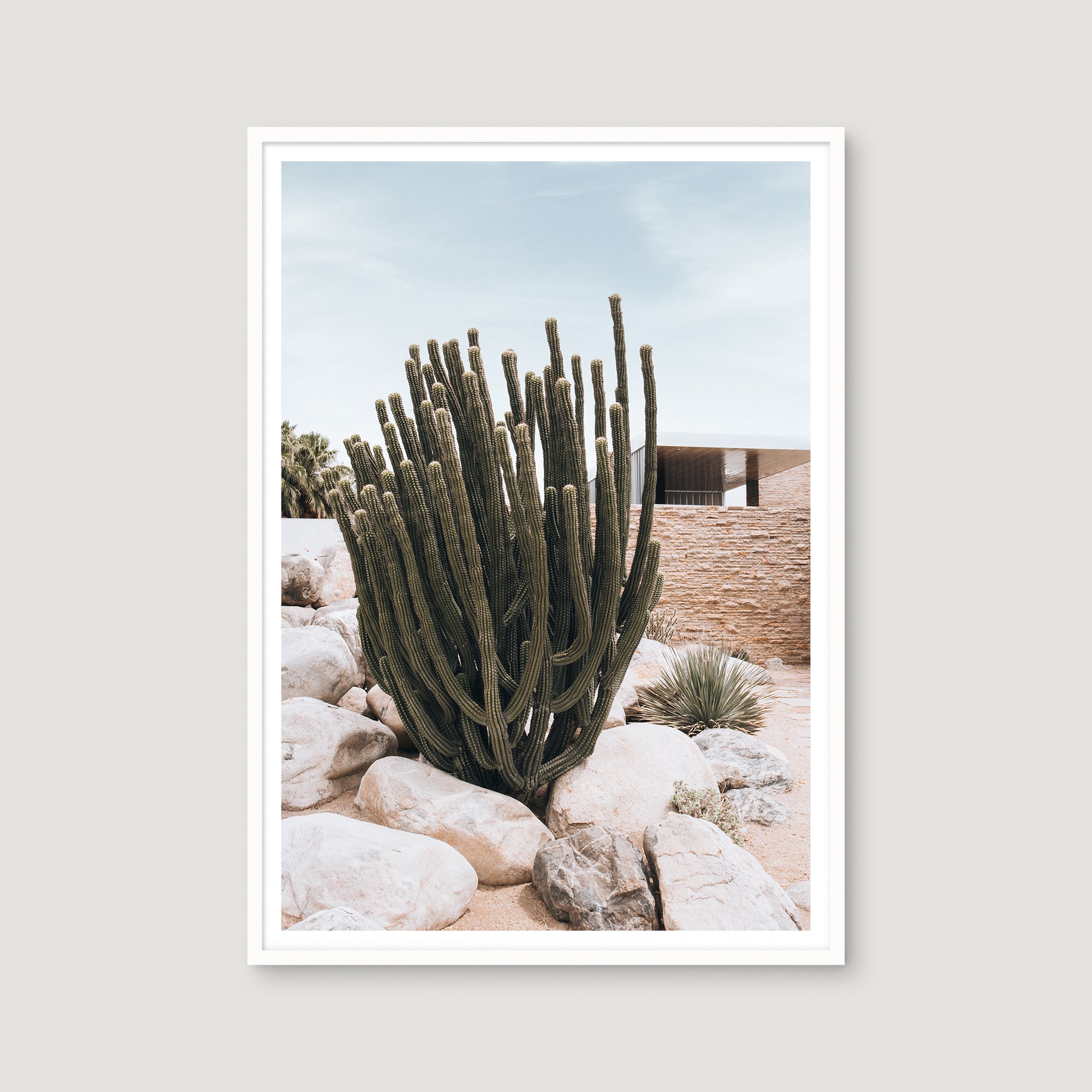 Palm Springs 1 — Photographic art print