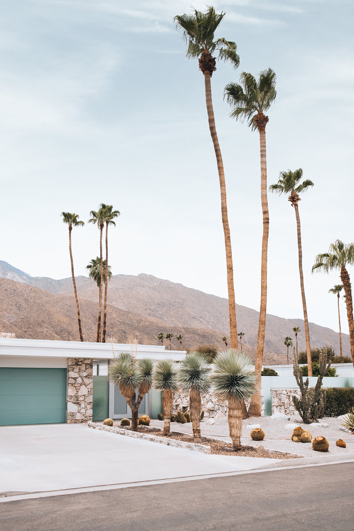 Palm Springs 4 — Photographic art print
