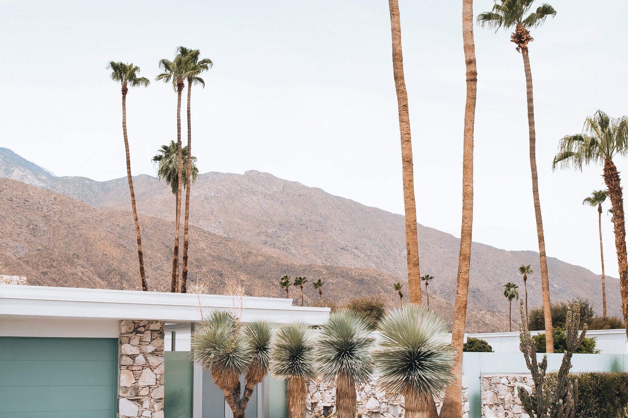 Palm Springs 4 — Photographic art print