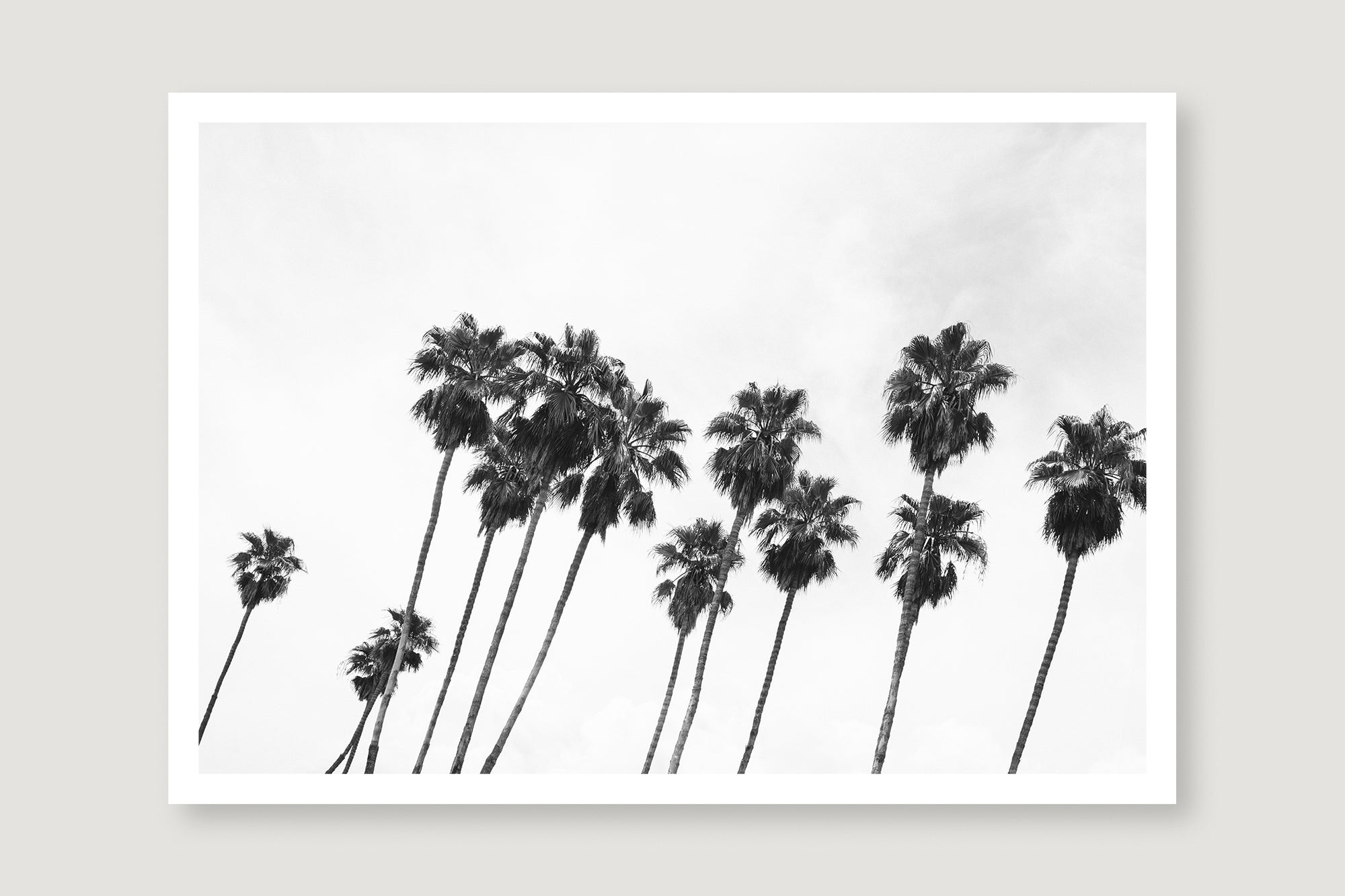 Palm Springs 5 — Photographic art print