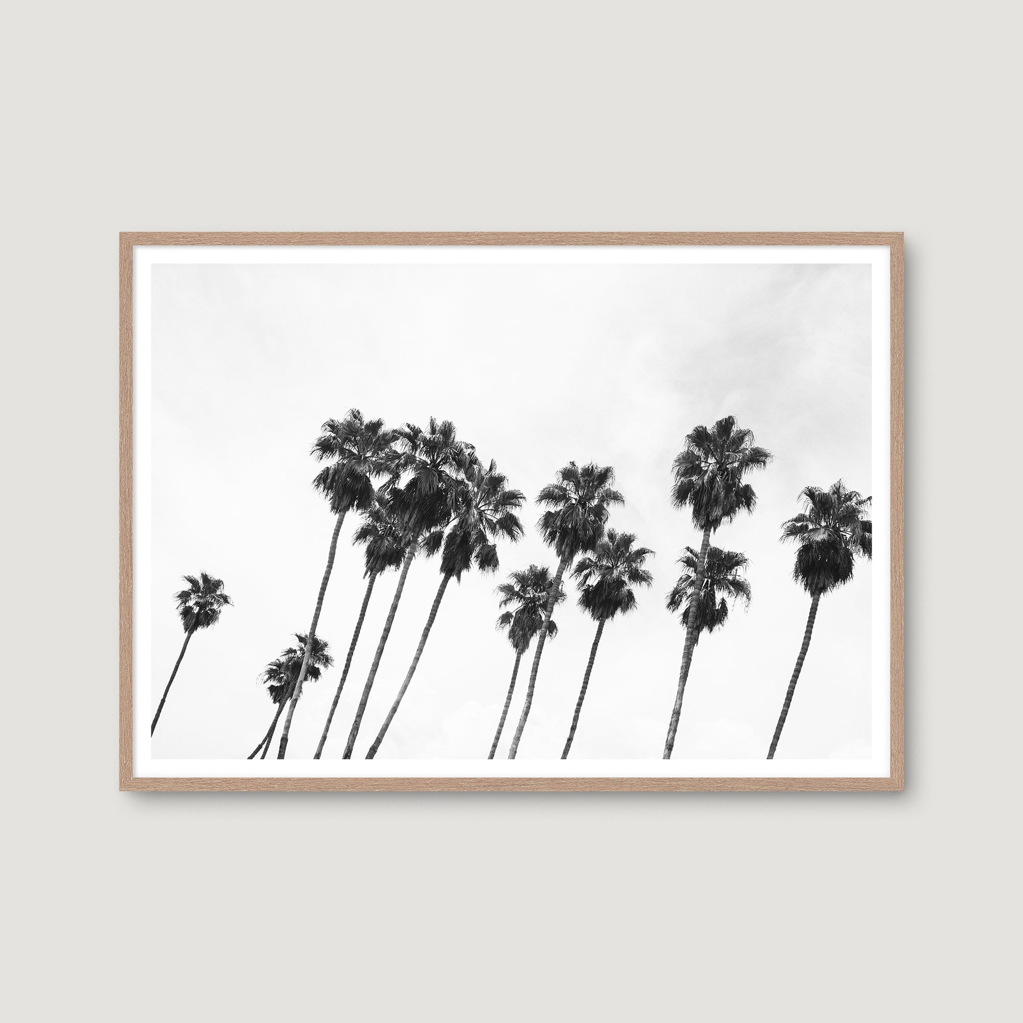 Palm Springs 5 — Photographic art print