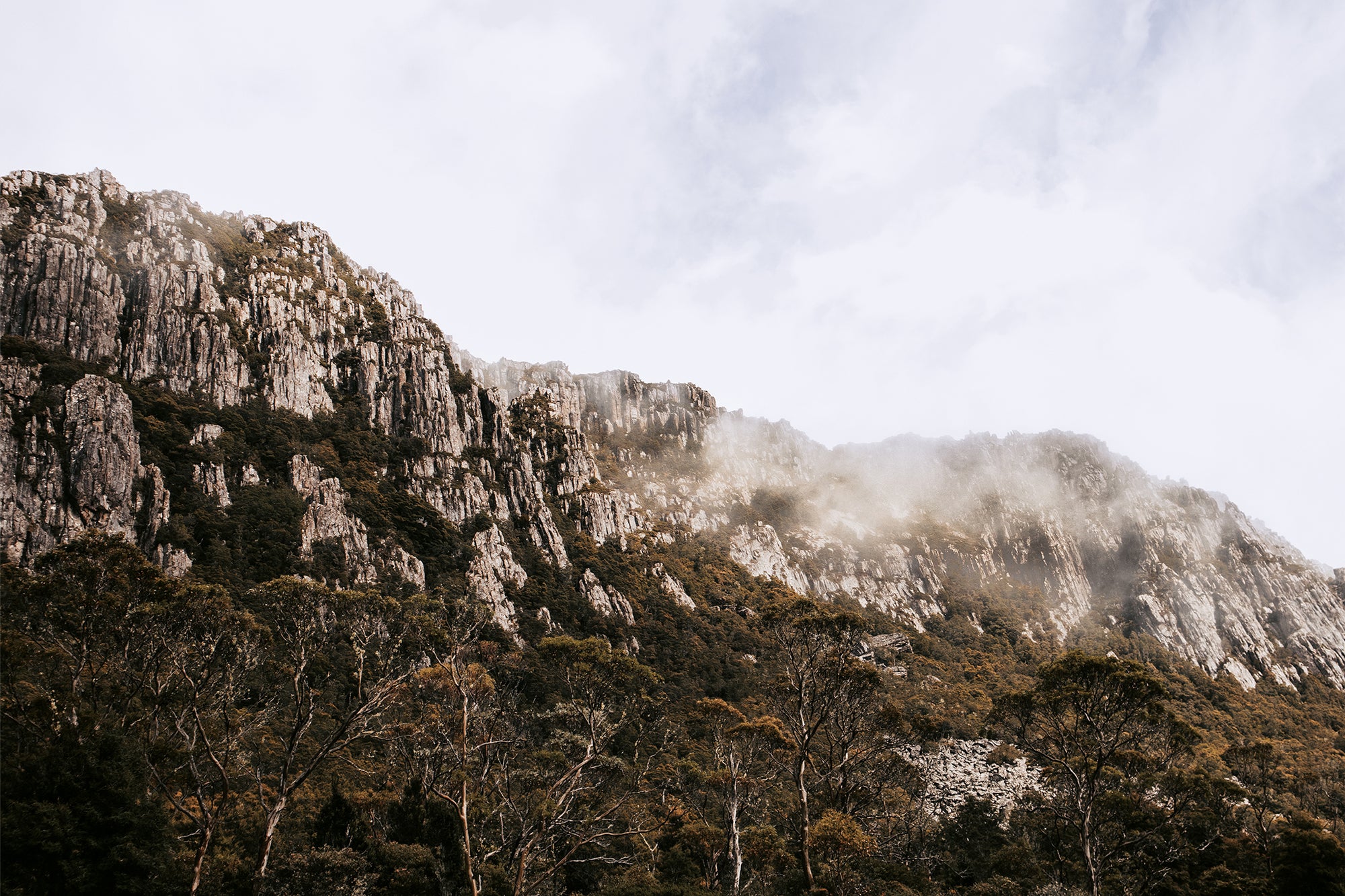 Tasmania Rock 3 — Photographic art print