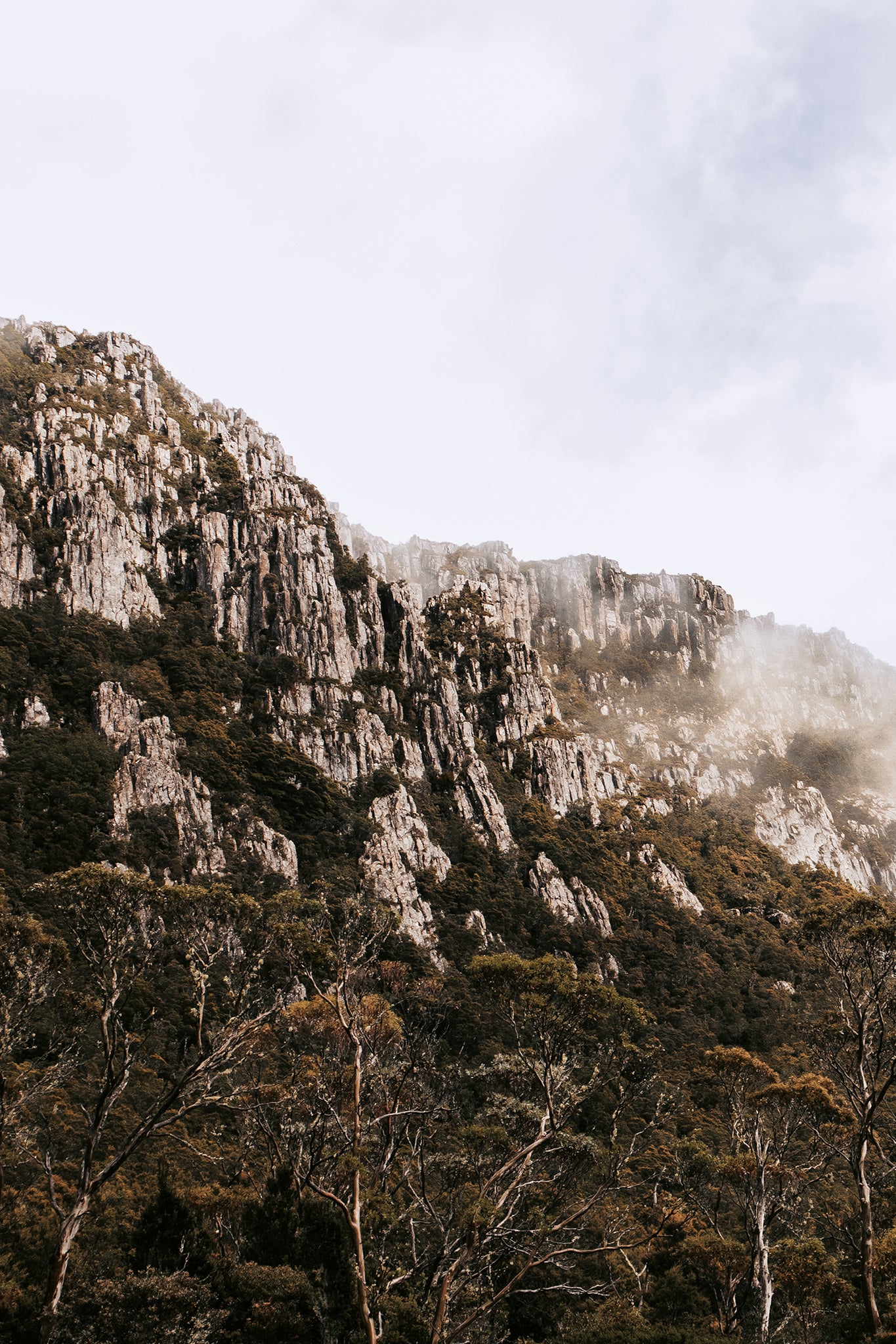 Tasmania Rock 3 — Photographic art print