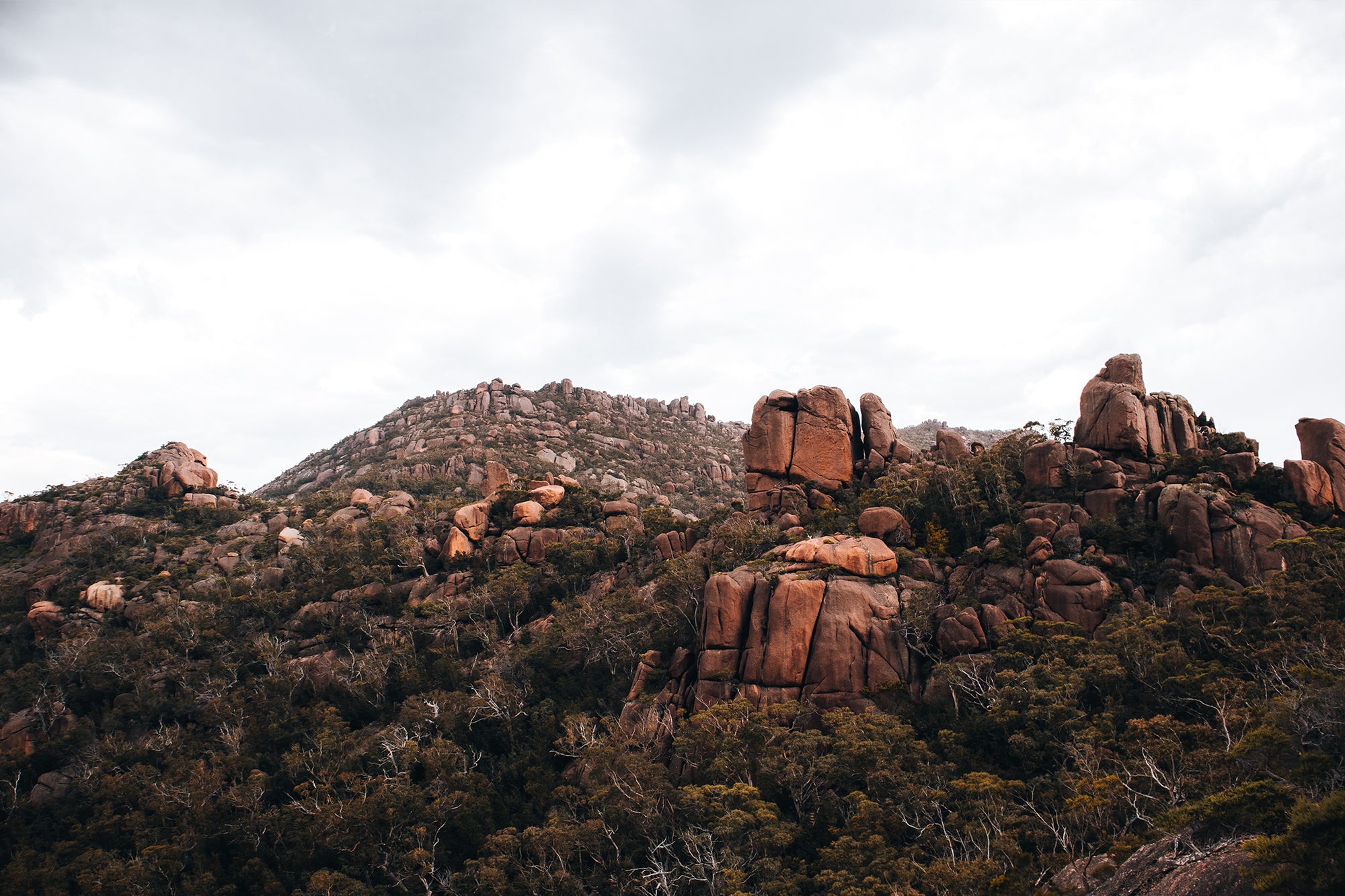 Tasmania Rock 1 — Photographic art print