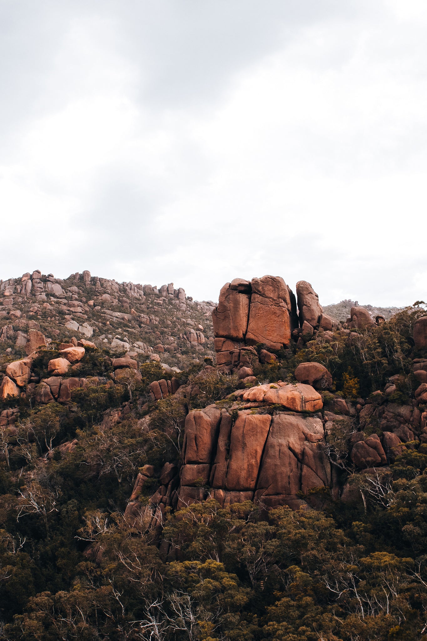 Tasmania Rock 1 — Photographic art print